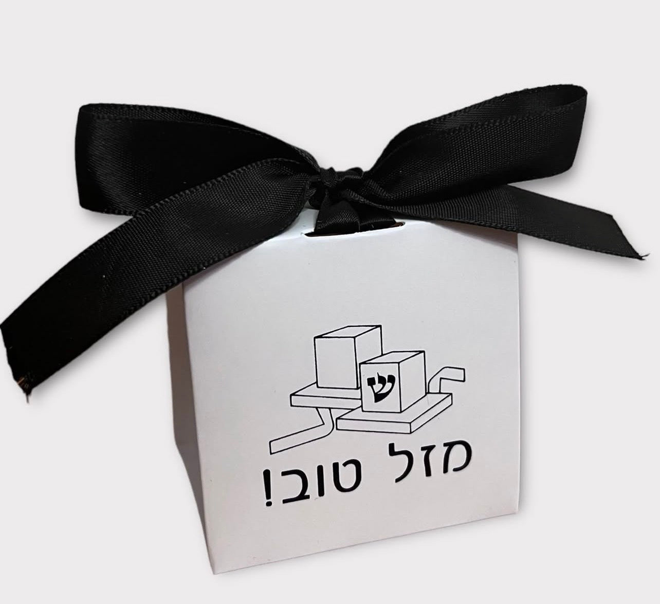 White Tefillin Boxes